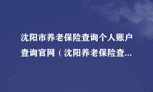 沈阳市养老保险查询个人账户查询官网（沈阳养老保险查询官网入口）