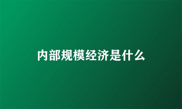 内部规模经济是什么