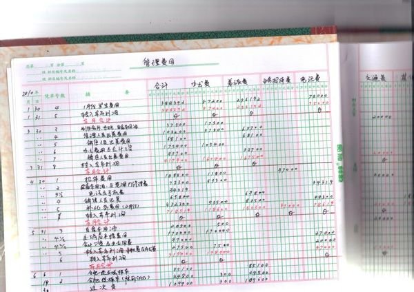 日记账、明细账和总账的样本有吗？