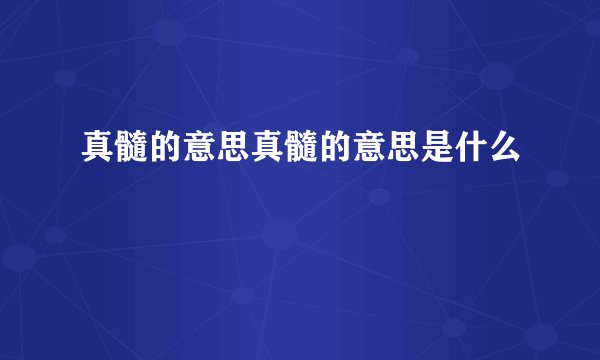 真髓的意思真髓的意思是什么
