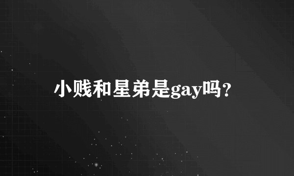 小贱和星弟是gay吗？