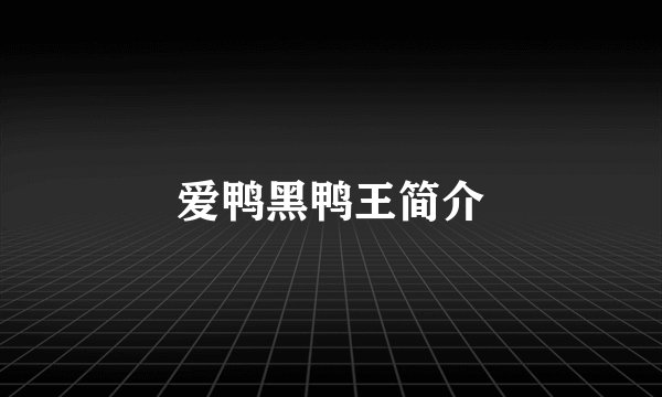爱鸭黑鸭王简介