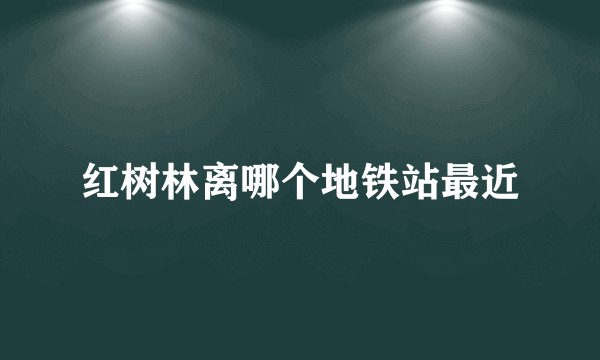 红树林离哪个地铁站最近
