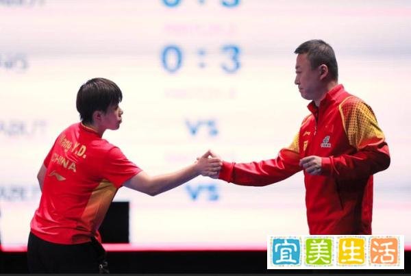 王曼昱排名反超王艺迪，林高远排名反超梁靖昆，斯佐科斯排名上升