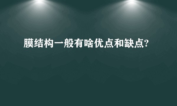 膜结构一般有啥优点和缺点?