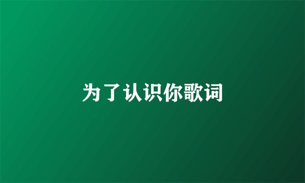 为了认识你歌词