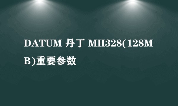 DATUM 丹丁 MH328(128MB)重要参数