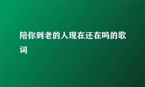 陪你到老的人现在还在吗的歌词