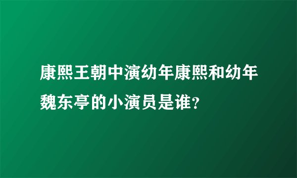 康熙王朝中演幼年康熙和幼年魏东亭的小演员是谁？