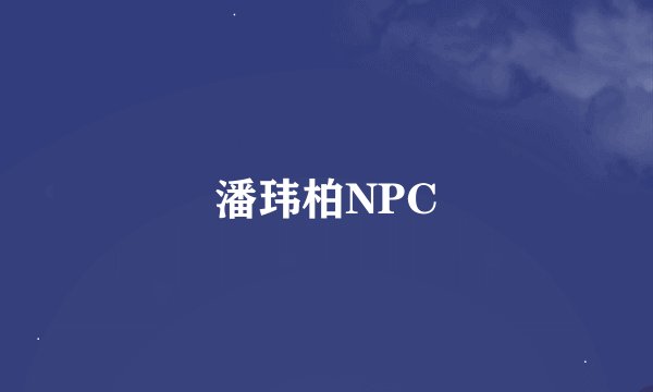 潘玮柏NPC