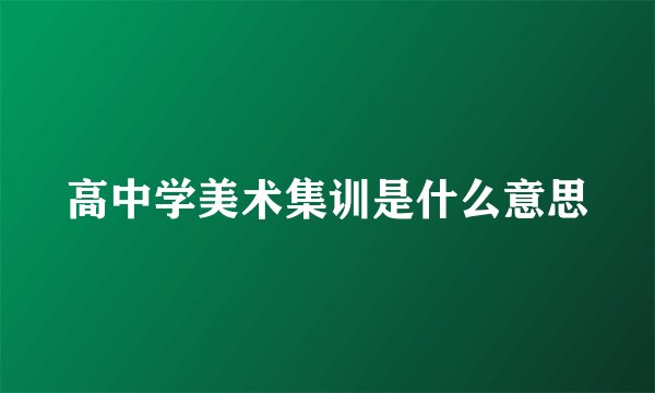 高中学美术集训是什么意思