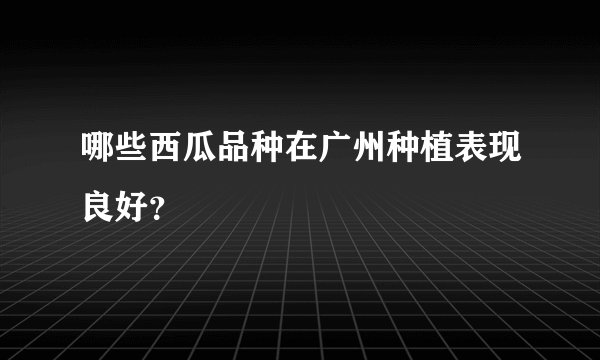 哪些西瓜品种在广州种植表现良好？