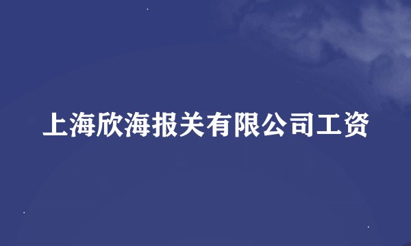上海欣海报关有限公司工资
