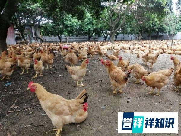 湖南裕农园怎么样?