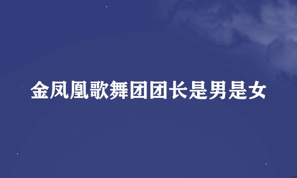 金凤凰歌舞团团长是男是女