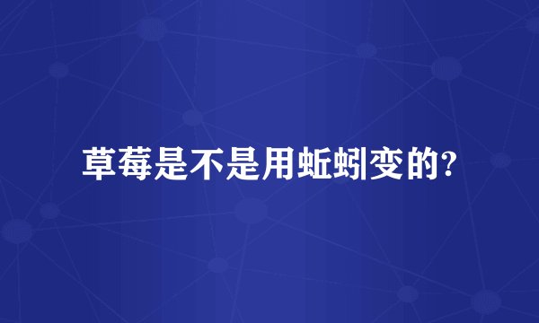 草莓是不是用蚯蚓变的?