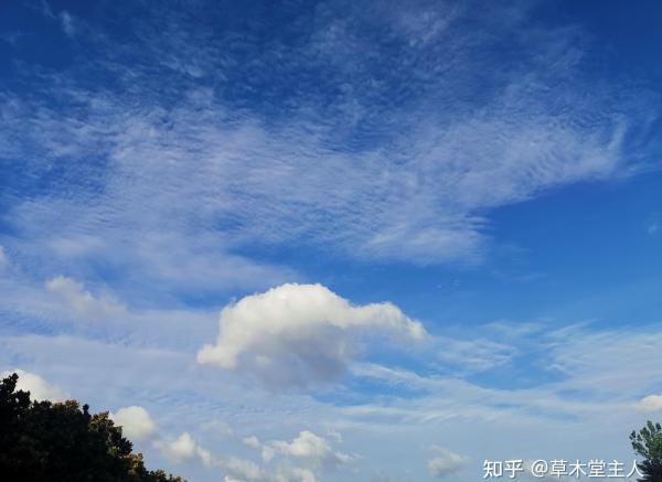 以人生之有涯随知之无涯