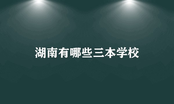 湖南有哪些三本学校