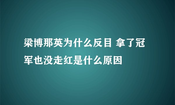梁博那英为什么反目 拿了冠军也没走红是什么原因