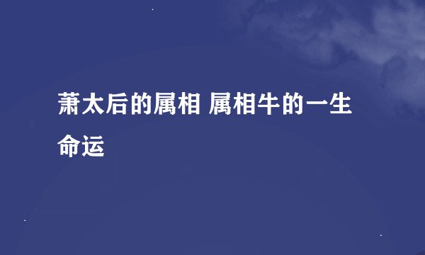 萧太后的属相 属相牛的一生命运