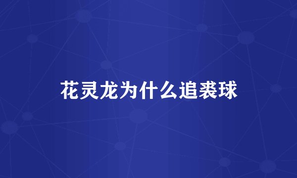 花灵龙为什么追裘球