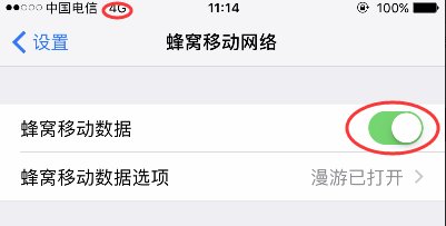 苹果手机怎么设置使用无线数据流量上网