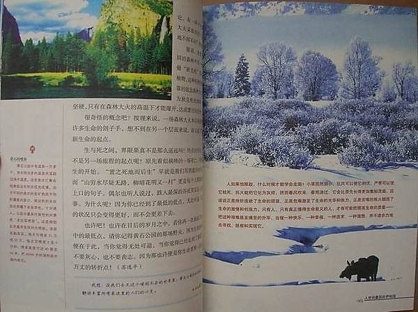 地球上最后一个神仙的内容简介