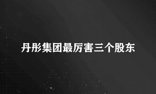 丹彤集团最厉害三个股东