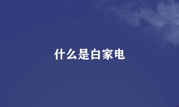 什么是白家电