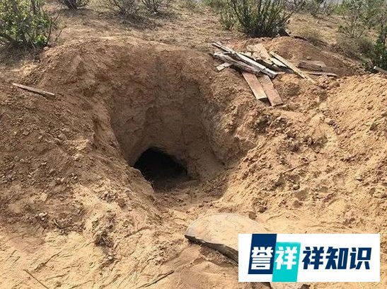 “埋母案”判了，母亲去世前原谅儿子