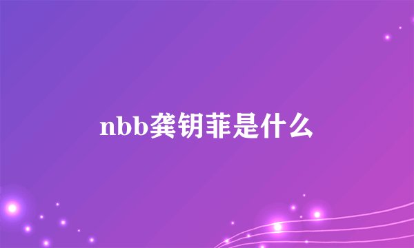 nbb龚钥菲是什么