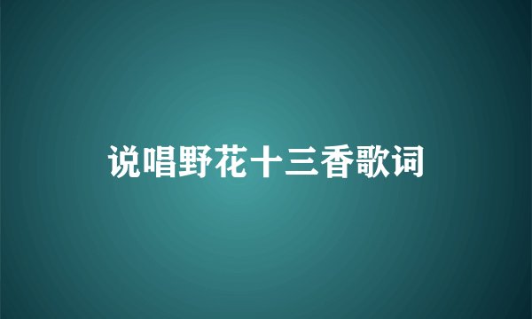 说唱野花十三香歌词
