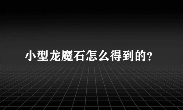 小型龙魔石怎么得到的？