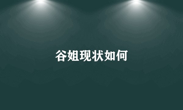 谷姐现状如何