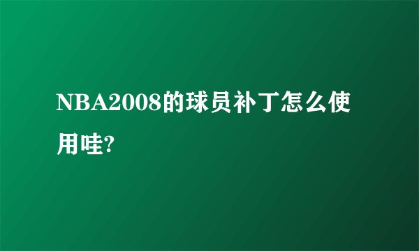 NBA2008的球员补丁怎么使用哇?
