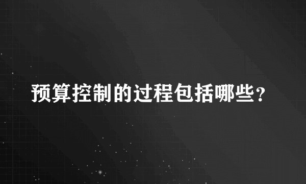 预算控制的过程包括哪些？