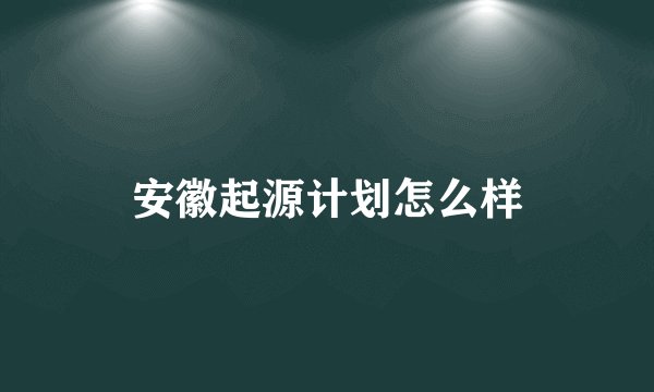 安徽起源计划怎么样