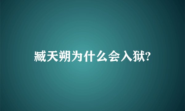 臧天朔为什么会入狱?