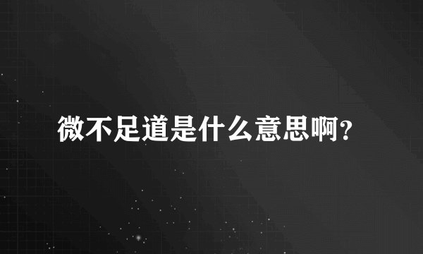 微不足道是什么意思啊？