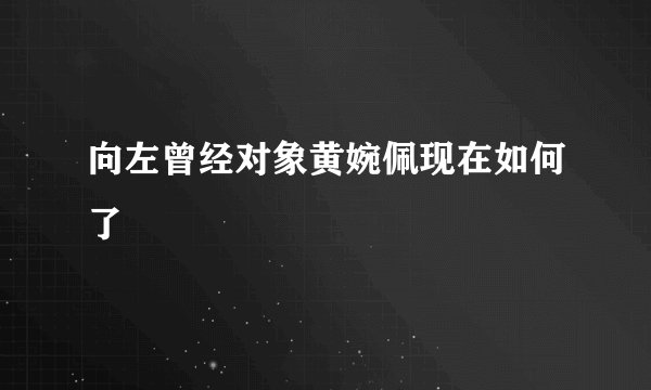 向左曾经对象黄婉佩现在如何了