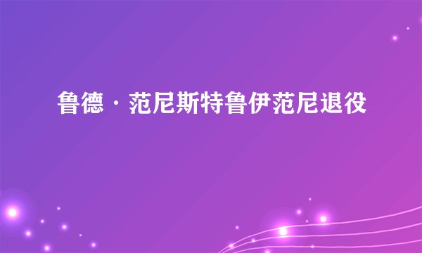 鲁德·范尼斯特鲁伊范尼退役