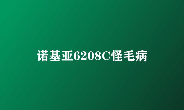 诺基亚6208C怪毛病