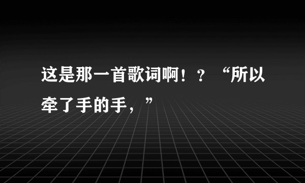 这是那一首歌词啊！？“所以牵了手的手，”