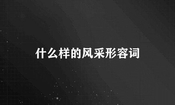 什么样的风采形容词