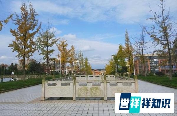 迎新晚会播放劣迹艺人视频,校方通报:对涉事人员严肃批评教育!