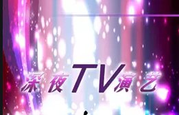 国外12点以后的综艺节目有哪些
