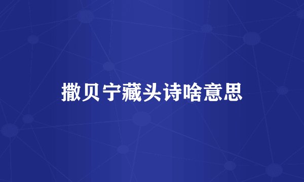 撒贝宁藏头诗啥意思