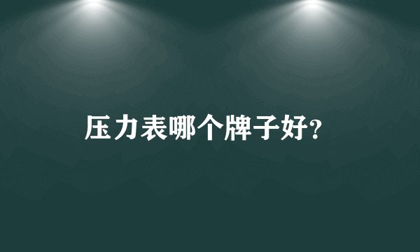 压力表哪个牌子好？