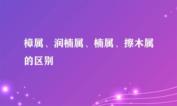 樟属、润楠属、楠属、擦木属的区别