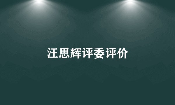 汪思辉评委评价